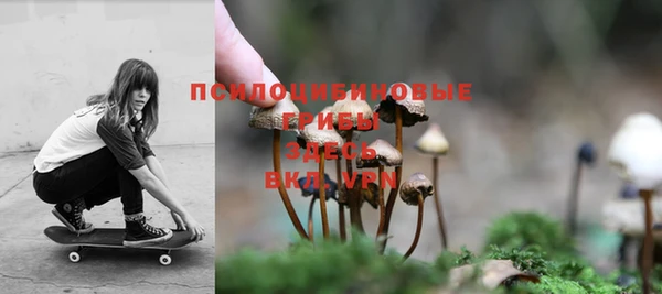 прущие крисы Горняк