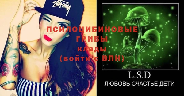 прущие крисы Горняк