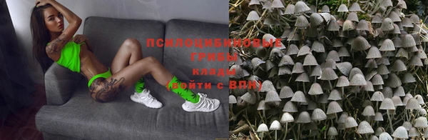 прущие крисы Горняк